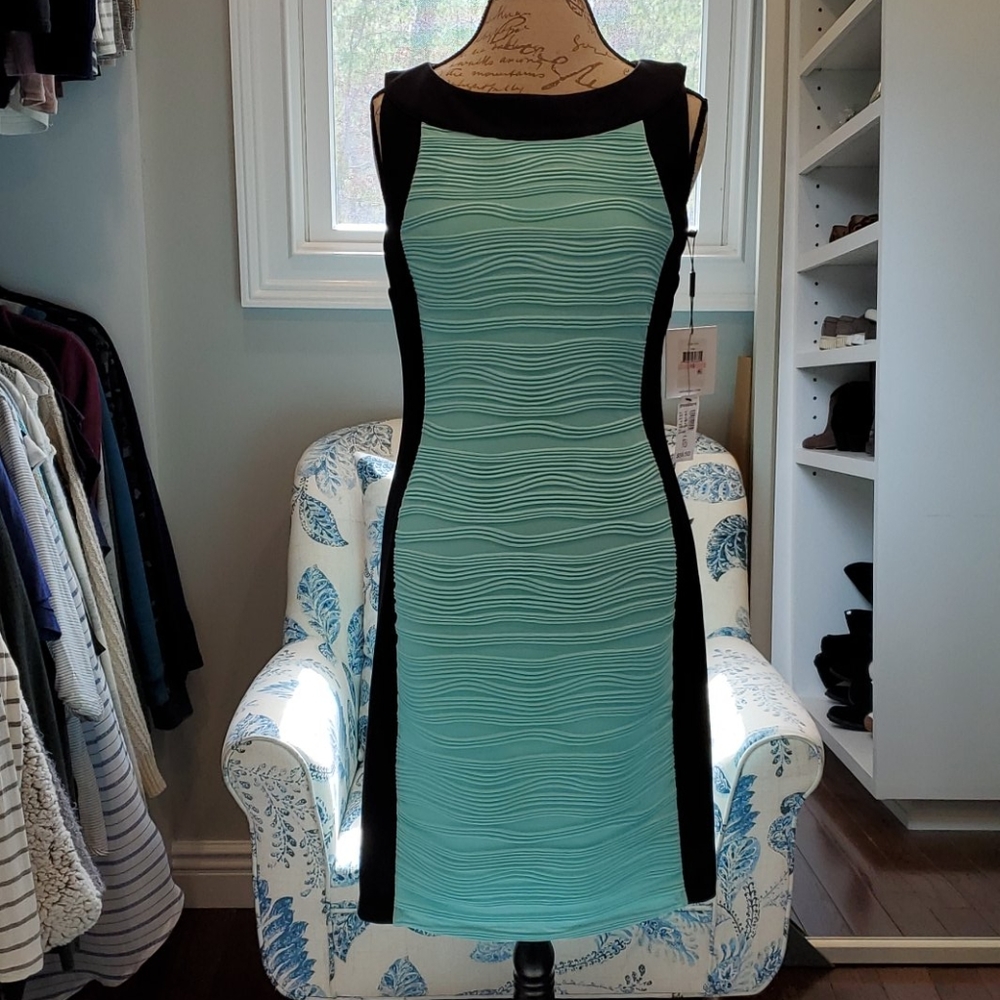 NWT Calven Klein dress size 10